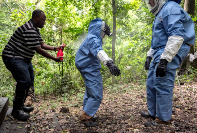 Ghana official confirms the end of Marburg outbreak