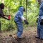 Ghana official confirms the end of Marburg outbreak