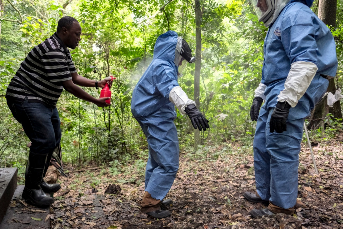 Ghana Marburg outbreak