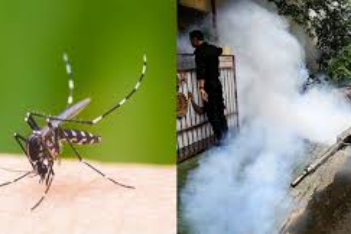 Dengue fever claims