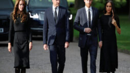 Harry and Meghan ‘turned vehicle around’ to chat Kate and William