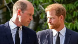 Prince Harry and William reunion at the Queen’s death will be brief