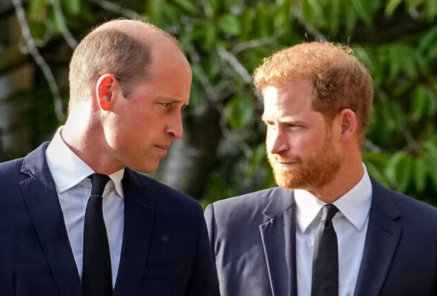 Prince Harry and William reunion at the Queen’s death will be brief