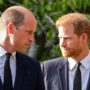 Prince Harry and William reunion at the Queen’s death will be brief