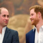 Prince Harry, Prince William: Lip reader exposes dialogue