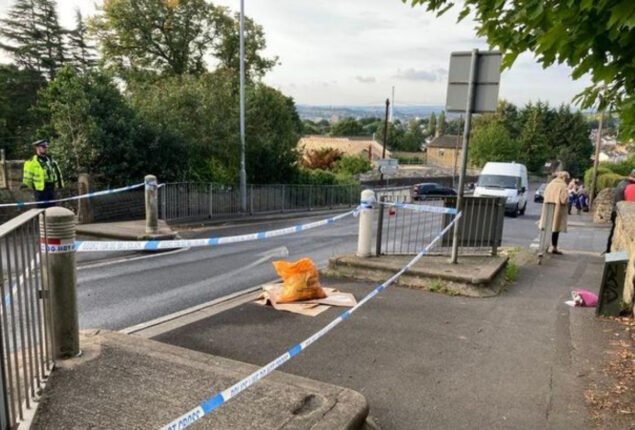 Murderer arrested after 15-year-old killed outside school in Huddersfield