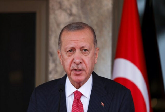Erdogan will discuss Russian Mir payments and possible sanctions