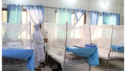 402 more dengue cases surface in Sindh  