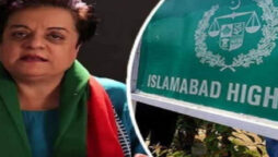 IHC reserves judgment on Shireen Mazari’s petition against Section 124-A of sedition