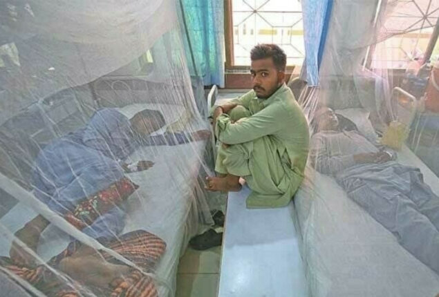 Dengue cases continue to increase in Karachi, other parts of country