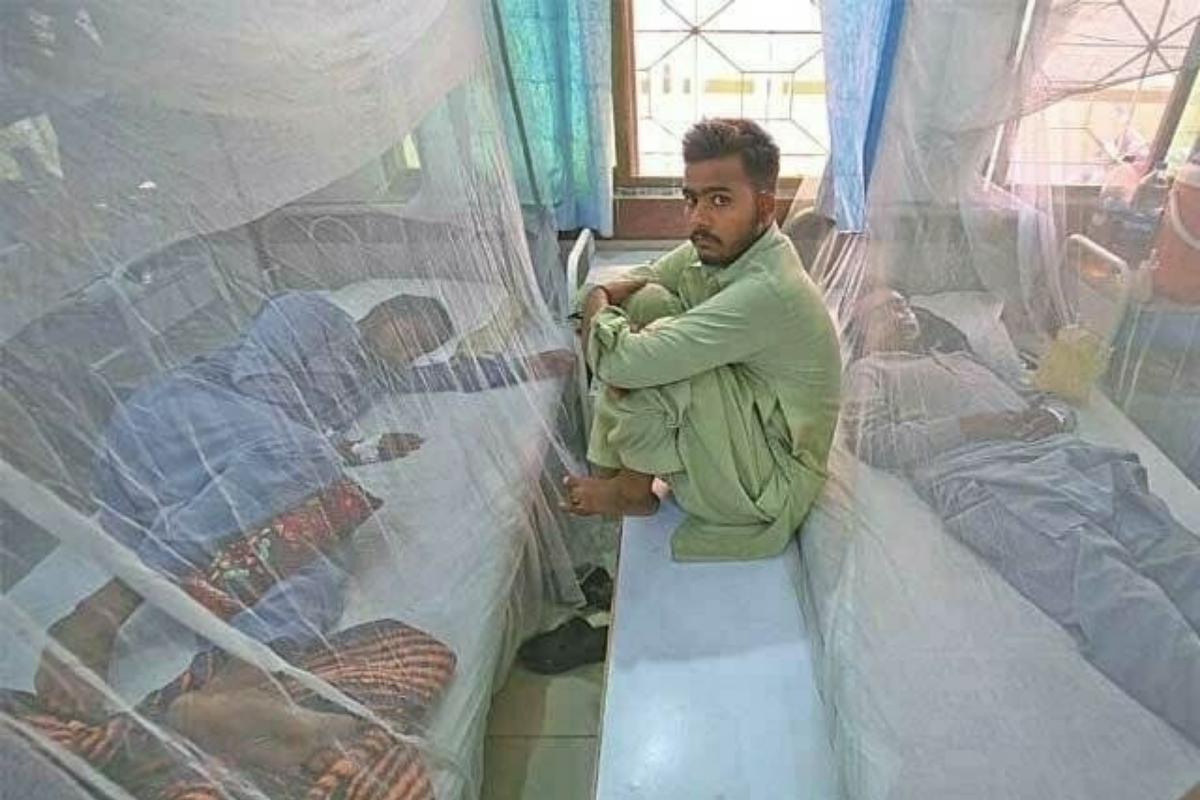 Dengue cases continue