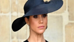 Meghan Markle sought to ‘throw blame in every direction’