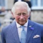 King Charles III display of wealth as a monarch revealed!