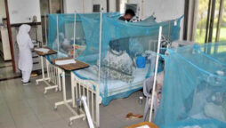 Dengue viral fever claims another life in Karachi