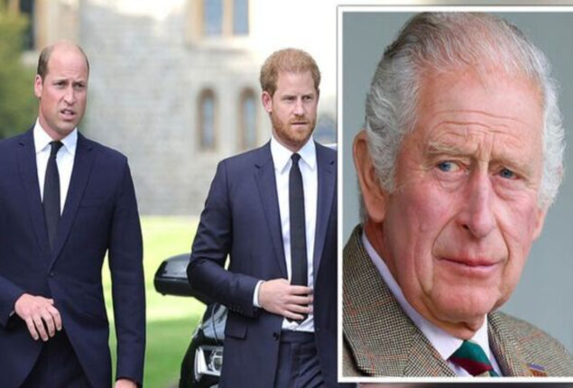 King Charles shut down rumors of conflict with Prince William