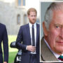 King Charles shut down rumors of conflict with Prince William