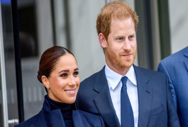 Prince Harry and Meghan Markle are proving to be a “liability” to the monarchy