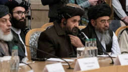 Taliban makes ‘preliminary’ oil, gas, wheat deal with Russia