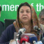 Everyone knows police took Ali Bilal dragging with them: Yasmin Rashid