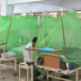 Two more lives snuffed out by dengue fever in Karachi