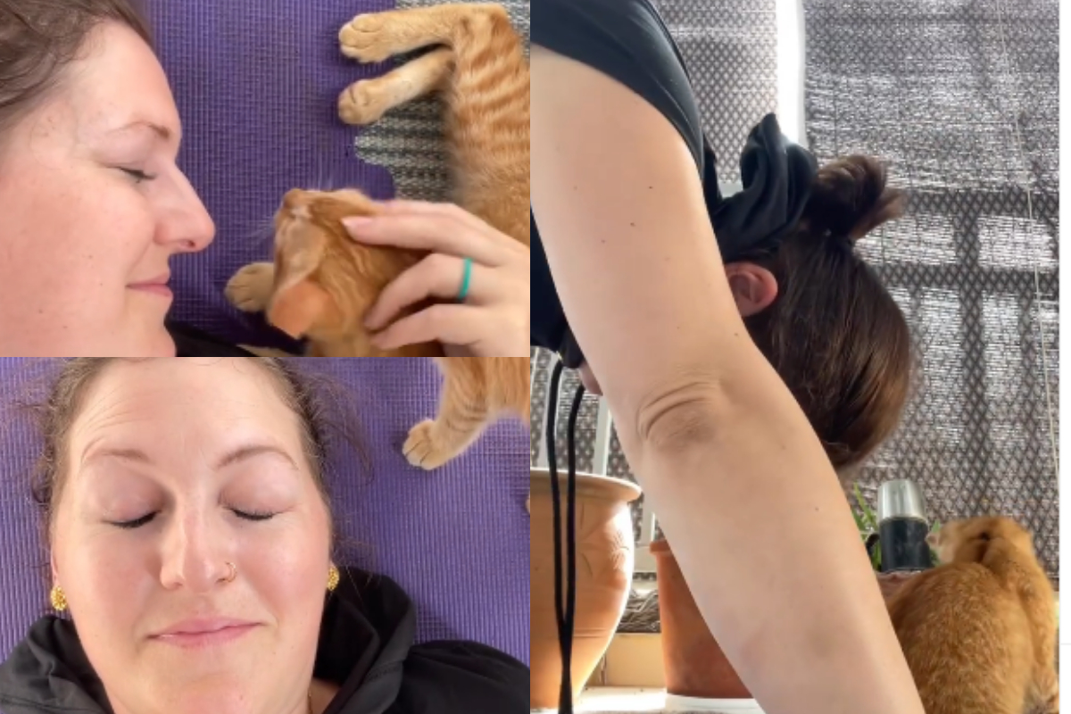cat yoga