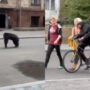 Chimpanzee escapes zoo and returns on bicycle