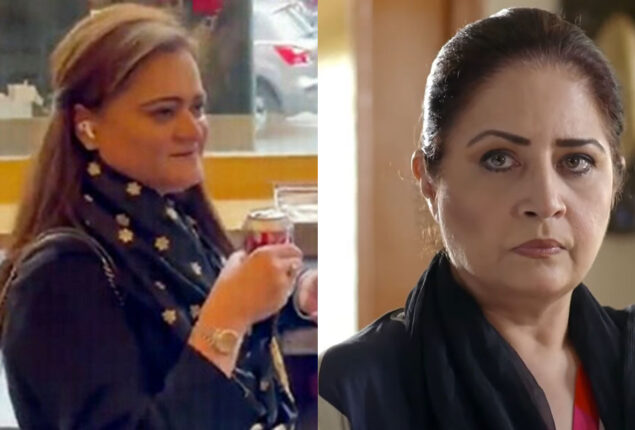 Atiqa Odho warns Marriyum Aurangzeb’s trollers, ‘Harassment, immature behavior’