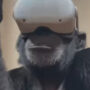 Watch Video: Chimpanzee brothers watch VR together