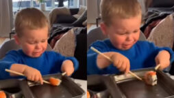 Little boy cries while eating sushi with chopsticks