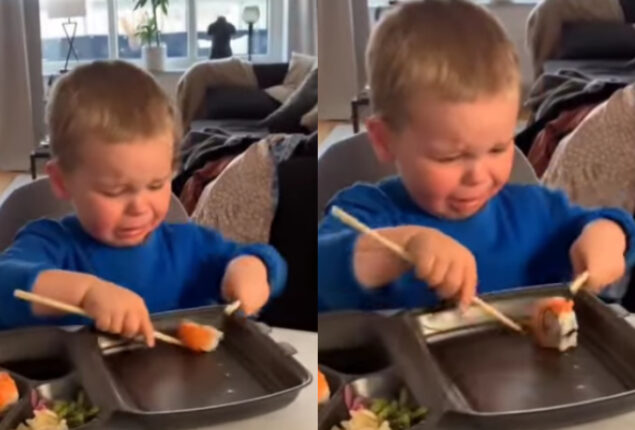 Little boy cries while eating sushi with chopsticks