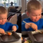 Little boy cries while eating sushi with chopsticks