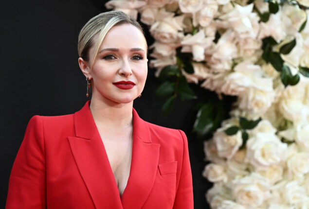 Kaya’s custody was never up for dispute, Hayden Panettiere