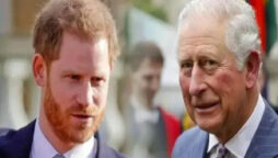 Prince Harry was ‘chopped off’ by King Charles