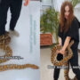 Video: Python wraps itself around a girl’s leg and steals her shoe