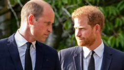 Prince Harry’s act around Prince William during their reunion after Queen’s death