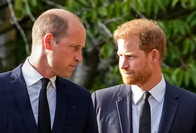 Prince Harry, William’s ‘meaningful reconciliation’ not in sight soon