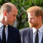 Prince Harry, William’s ‘meaningful reconciliation’ not in sight soon