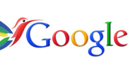Google search results