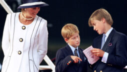 Princess Diana would have united Prince William and Prince Harry