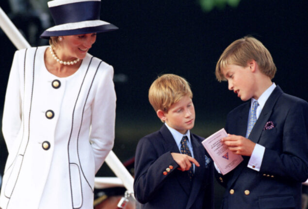 Princess Diana would have united Prince William and Prince Harry