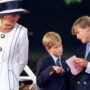 Princess Diana would have united Prince William and Prince Harry