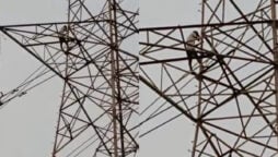 Watch: Man climbs tower when wife refuses to return home