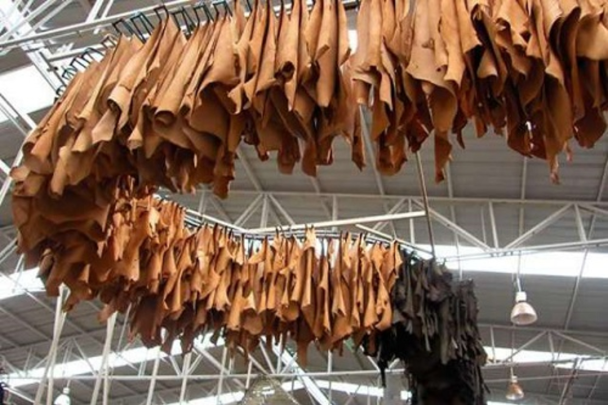 leather industry