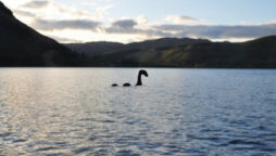Loch Ness Monster spotted again on live stream