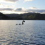 Loch Ness Monster spotted again on live stream