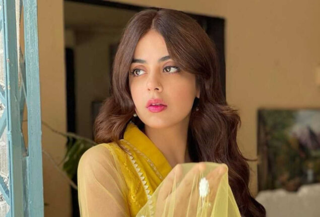 Watch: Yashma Gill amuses fans with latest video
