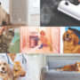 7 ways to keep your home fur-free