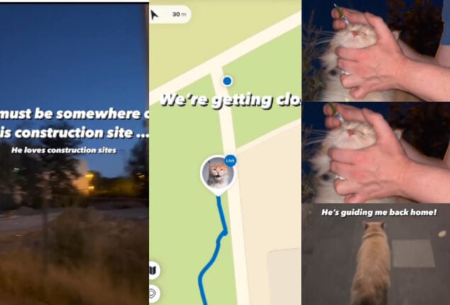 Watch: Human uses GPS to track cat to provide eye drops