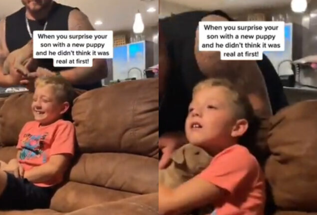 Watch: how child reacts when his parents give him puppy as surprise