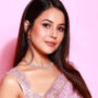 Shehnaaz Gill shares BTS clip from her latest song ‘Ghani Syaani’